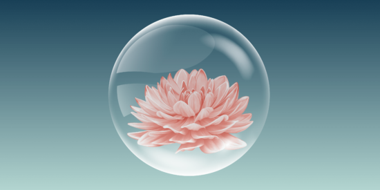 Archivi Corsi Ecmclub